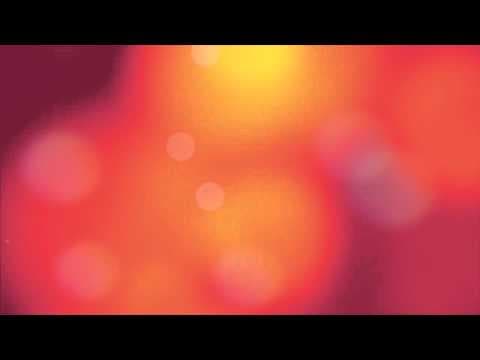 Royal Rajasthani Wedding - Film